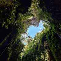 Tukad Cepung Waterfall: A Hidden Gem in Bali