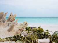 Paradise islands in Venezuela 