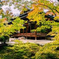 【京都紅葉】京都の秋旅に絶対訪れたい！南禅寺天授庵