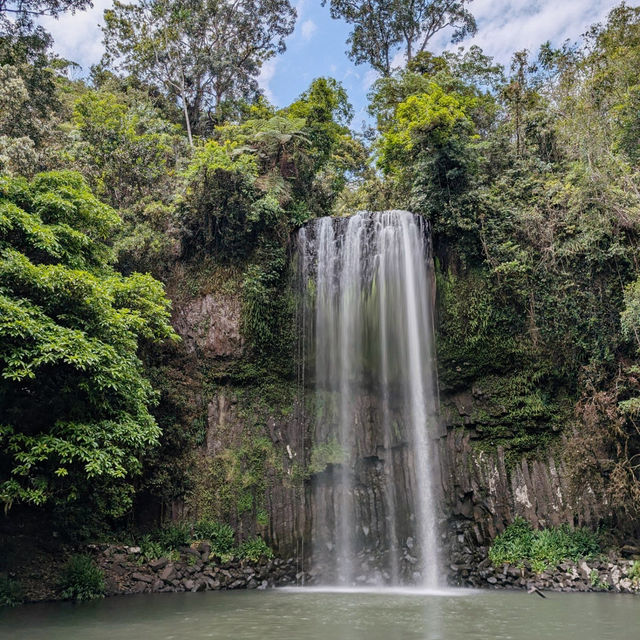 Explore the Natural Beauty of Atherton Tablelands