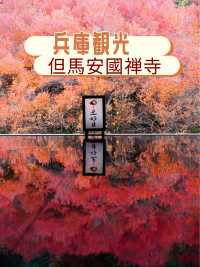 兵庫観光🍁安国寺のドウダンツツジ🍂美しいリフレクション😊🪞✨