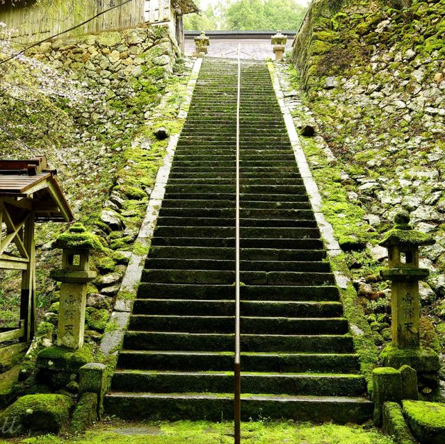 【京都】108つの半鐘を鳴らして参拝「京都帝釈天」