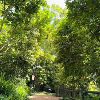 History and Serenity: Exploring Fort Canning Park and Its Hidden Gems 