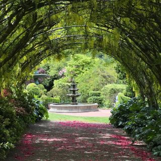 Forest Glade Garden: The Second Most Beautiful Garden in Australia