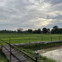 บ้านนาฟ้าอรุณ🌅 ที่พักบรรยากาศดี จังหวัดศรีสะเกษ