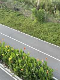 พิกัดสถานที่ถ่ายรูปสวย สวนเบญจิกิติ 🌳