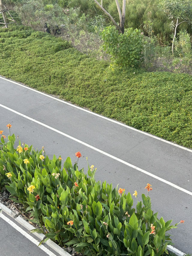 พิกัดสถานที่ถ่ายรูปสวย สวนเบญจิกิติ 🌳