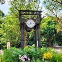 Singapore Botanic Gardens : สวนใหญ่ใจกลางเมือง