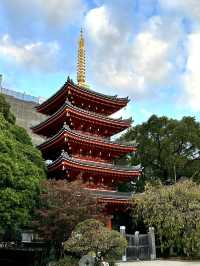 木造坐像で日本一大きい福岡大仏	