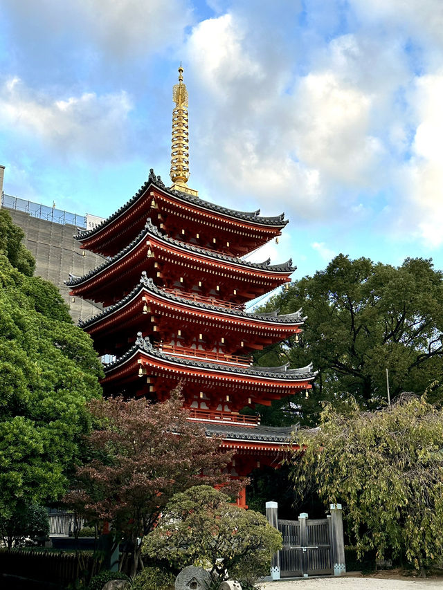 木造坐像で日本一大きい福岡大仏	
