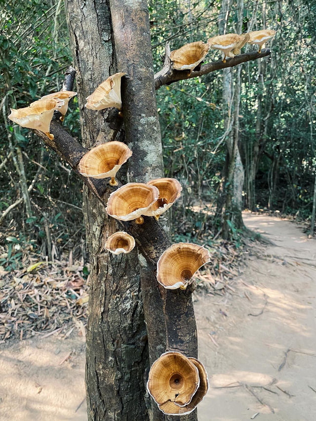 สายมูควรรู้ ก่อนขึ้นถ้ำนาคี นครพนม