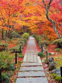 京都紅葉🍁嵯峨野の紅葉の名所🍁宝筐院🥰