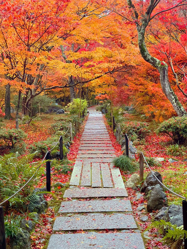 京都紅葉🍁嵯峨野の紅葉の名所🍁宝筐院🥰