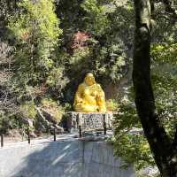 Discover the beauty of Wuling Farm in Taiwan