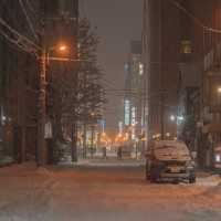 ๐ Sapporo, Hokkaido ๅๆตท้ Winter's Charm, Endless snow..๐ฏ๐ต๐ค