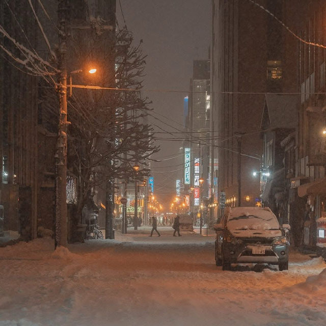๐ Sapporo, Hokkaido ๅๆตท้ Winter's Charm, Endless snow..๐ฏ๐ต๐ค ๐ Sapporo, Hokkaido ๅๆตท้ Winter's Charm, Endless snow..๐ฏ๐ต๐ค