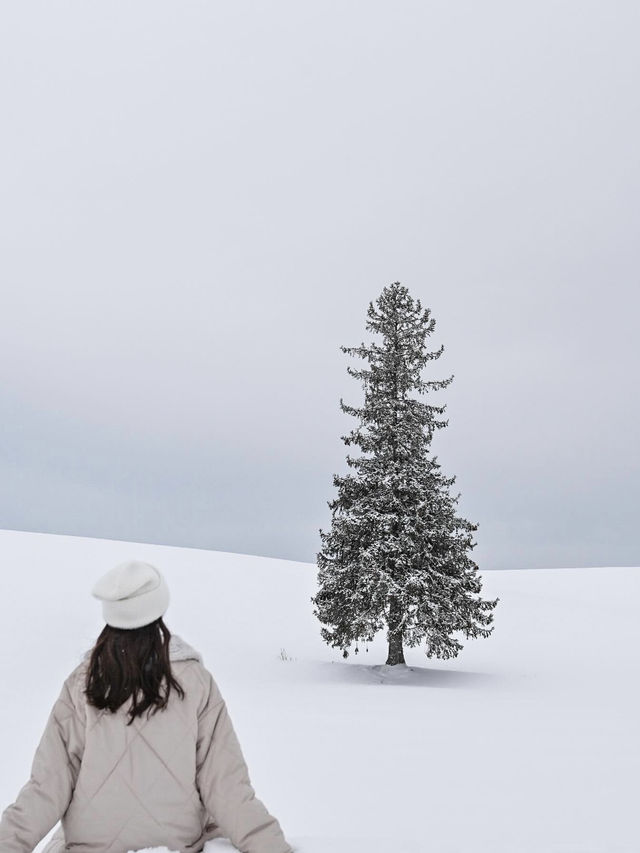 【北海道/美瑛】冬に行くべきおすすめ絶景スポット☃️