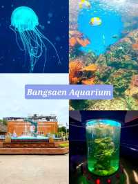 Bangsaen Aquarium: พิพิธภัณฑ์สัตว์น้ำชลบุรีสุดชิล