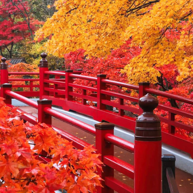 Niigata japan