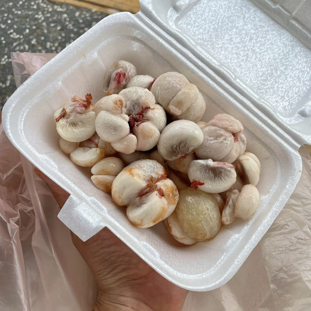망고보이가 기다리고 있는 코타키나발루 야시장