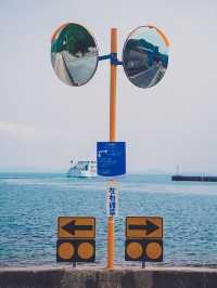 【豊島】瀬戸内海のアートの島巡り