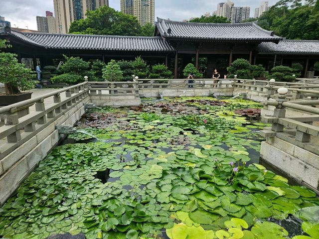 鬧市中的一片佛門淨土