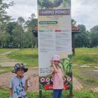 Paya Indah Wetlands: Hidden nature gem for nature lover and adventurous kids