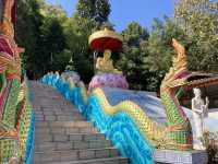 วัดพระธาตุจอมมอญ 