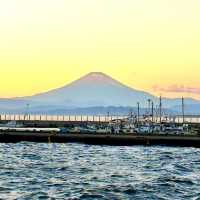 【冬の鎌倉】一日観光 江ノ島からは富士山