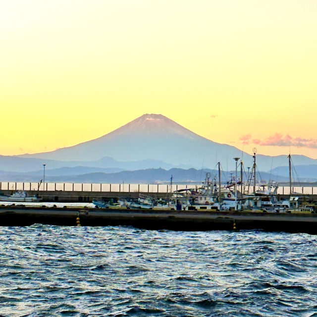 【冬の鎌倉】一日観光 江ノ島からは富士山