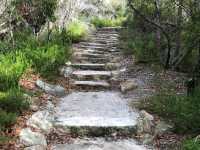 Royal National Park, New South Wales