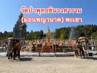 วัดป่าพุทธชินวงศาราม (ม่อนพญานาค) พะเยา