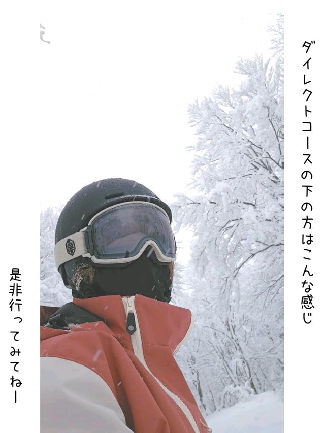【青森】日本三大樹氷『八甲田山』