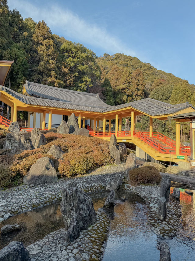 【京都】嵐山駅から1駅"松尾大社"の魅力⛩️