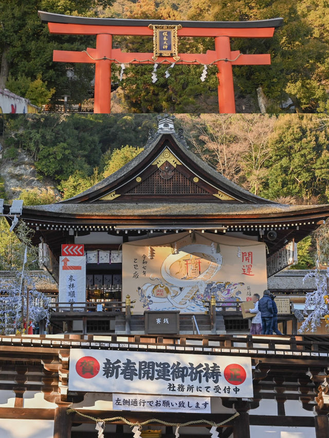 【京都】嵐山駅から1駅"松尾大社"の魅力⛩️