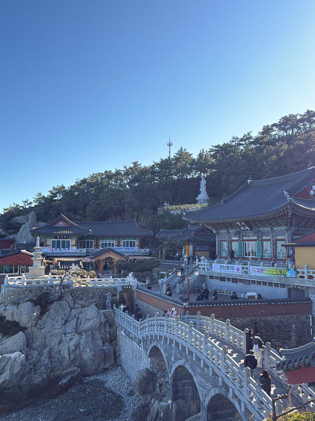 【韓国釜山🇰🇷】2泊3日女子旅スケジュール2日目
