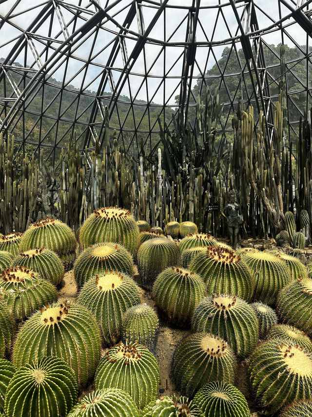 Experience Another World in Shenzhen, China 🇨🇳 🌵 👽 
