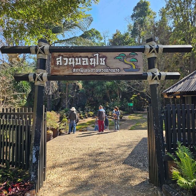 ชมดอกไม้สวย ที่ดอยอ่างขาง