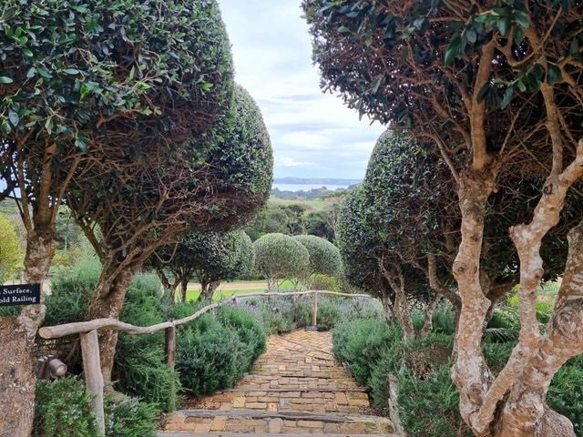 와이헤케 와이너리 투어 - Cable Bay vineyards🇳🇿