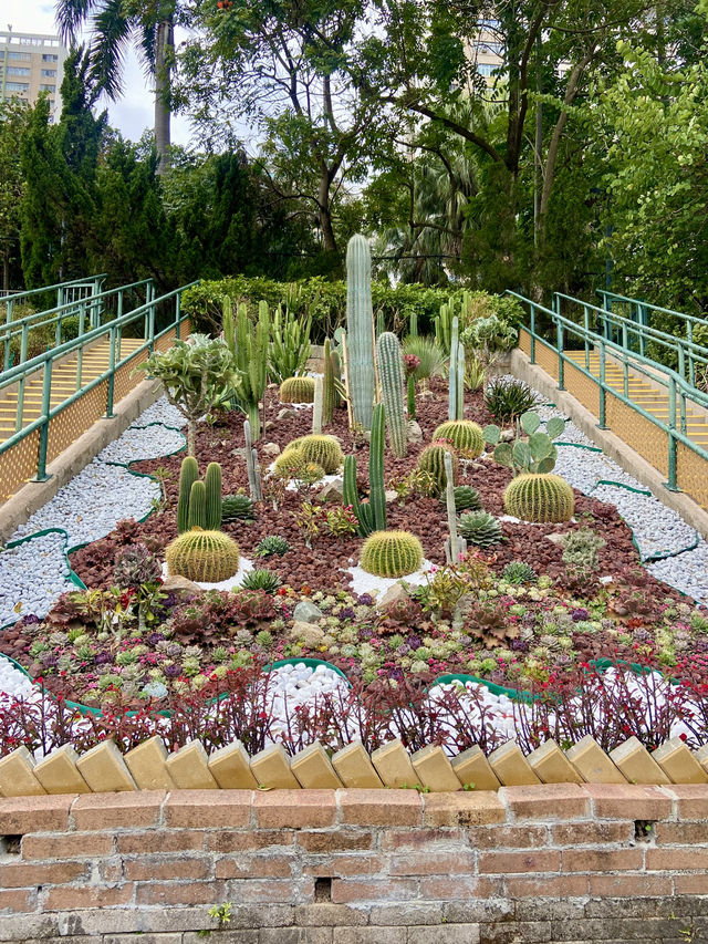 🏝️😎如熱帶雨林般的「城門谷公園」｜香港賞花拍照好地方🔥🏞️