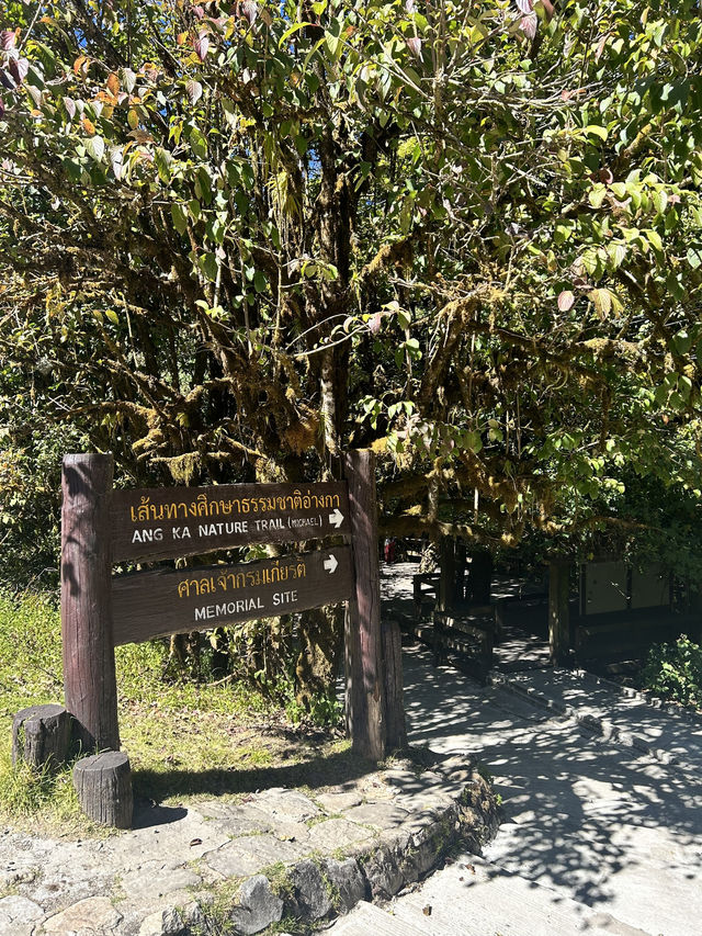 เส้นทางศึกษาธรรมชาติอ่างกา🌳