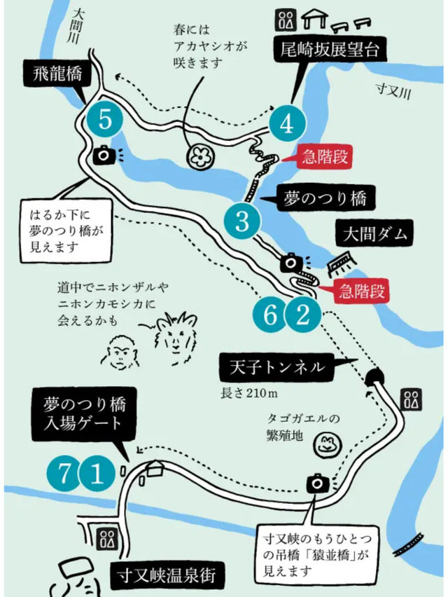 【静岡県】世界が認めた‼️秘境にある絶景吊り橋✨
