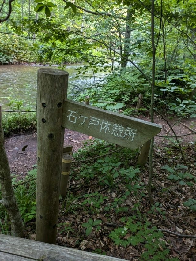 【青森県】奥入瀬渓流〜自然のパワースポット〜