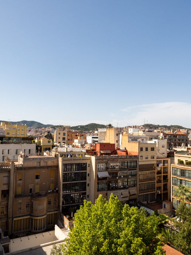 猶如上帝的設計🇪🇸