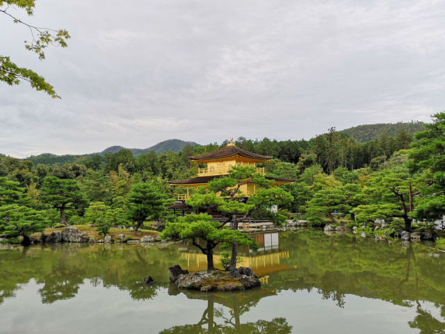 漫步金閣寺：靜謐與美的極致體驗