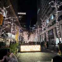 A Magical Holiday Experience: Christmas Illuminations in Tokyo
