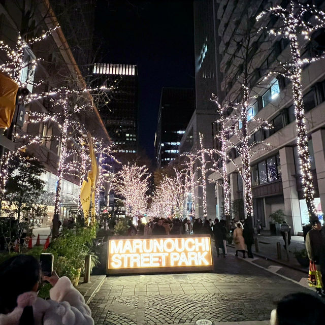 A Magical Holiday Experience: Christmas Illuminations in Tokyo