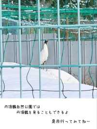 【青森／北津軽】日本一長い三連太鼓橋「鶴の舞橋」⁡