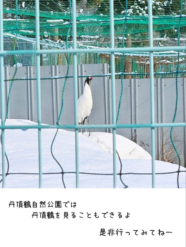 【青森／北津軽】日本一長い三連太鼓橋「鶴の舞橋」⁡