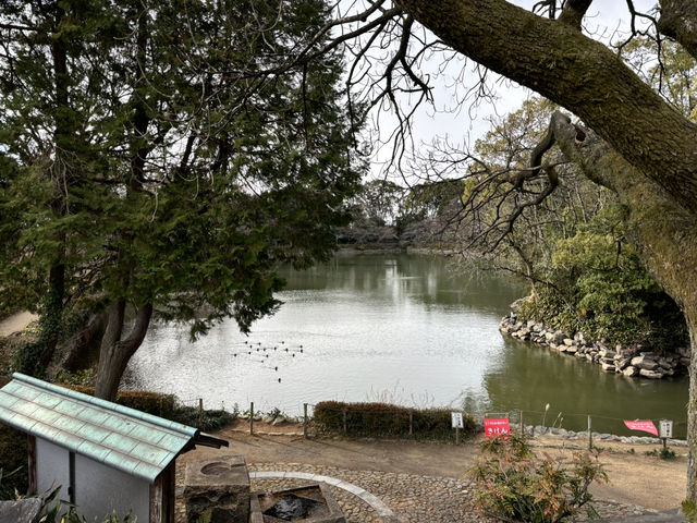 🇯🇵【愛媛県】風情ある公園！広瀬公園(^^)！！